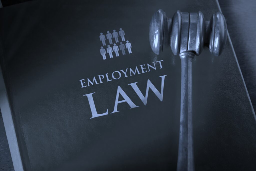 Hire Our Best Employment Law Assignment Helpers Assist You Today