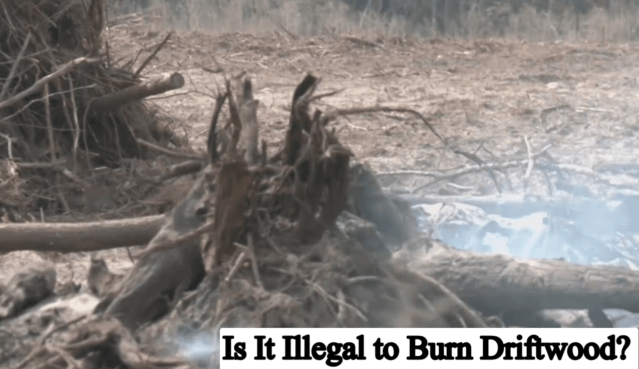 Is It Illegal to Burn Driftwood? Complete Guide
