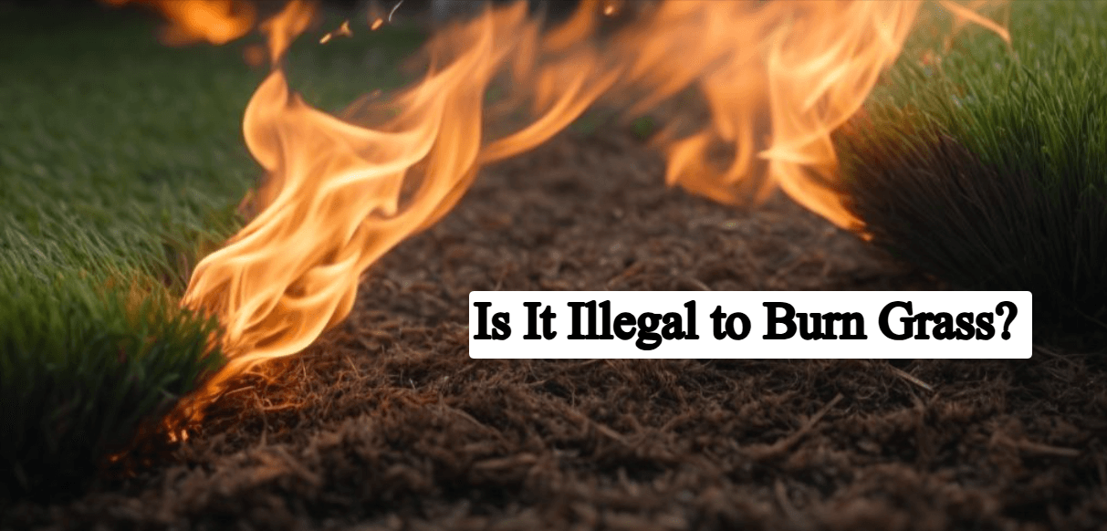 Is It Illegal to Burn Grass? Complete Guide