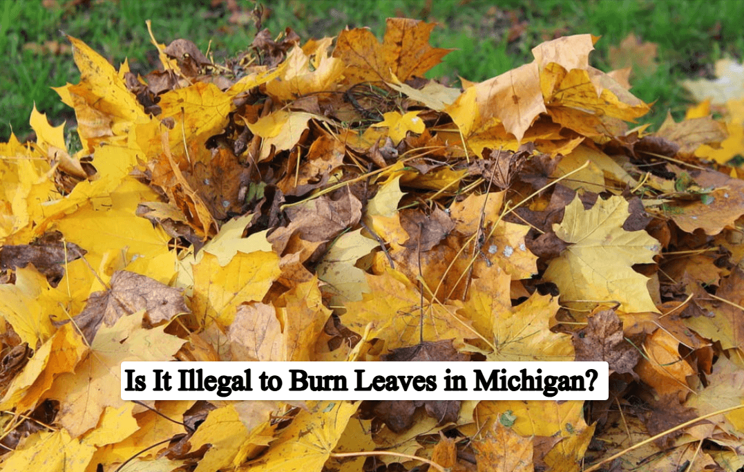 Is It Illegal to Burn Leaves in Michigan? Complete Guide