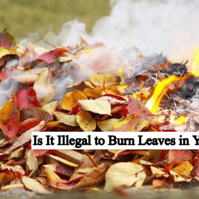 Is It Illegal to Burn Leaves in Your Backyard? Complete Guide