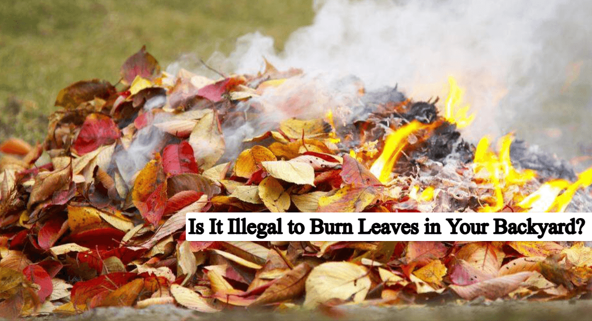 Is It Illegal to Burn Leaves in Your Backyard? Complete Guide