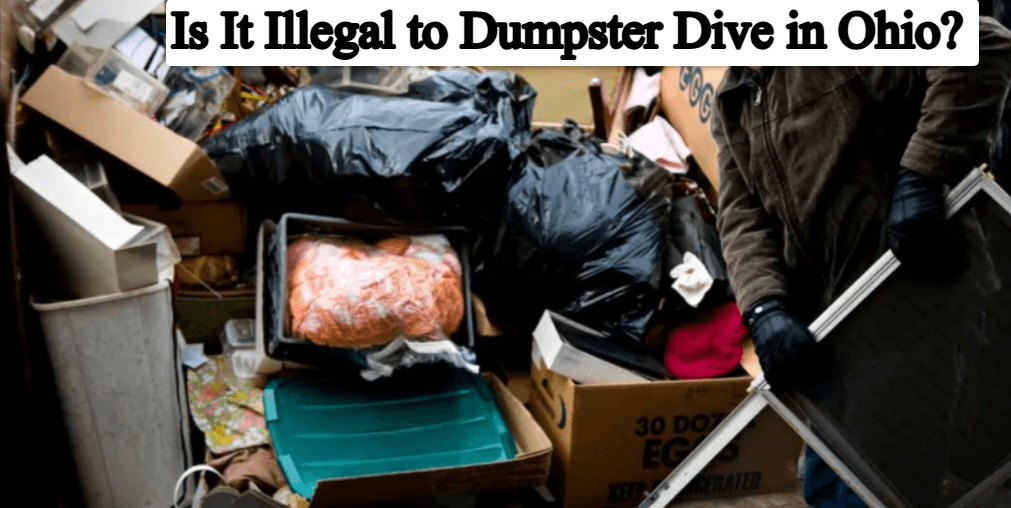 Is It Illegal to Dumpster Dive in Ohio? Complete Guide