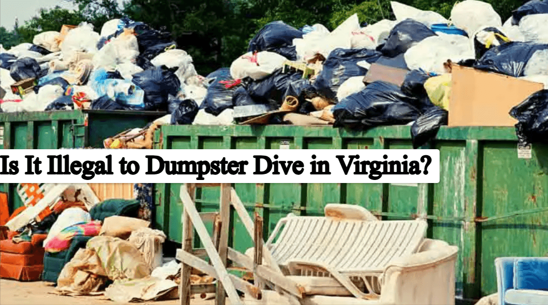 Is It Illegal to Dumpster Dive in Virginia? Complete Guide