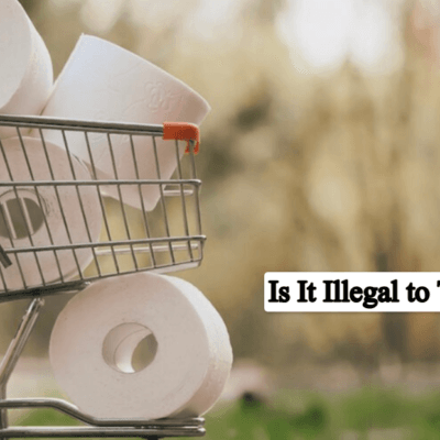 Is It Illegal to TP a House? Complete Guide